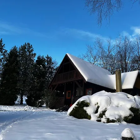 Pod Lasem Chalet Trzciana