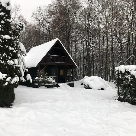 Pod Lasem Chalé Trzciana