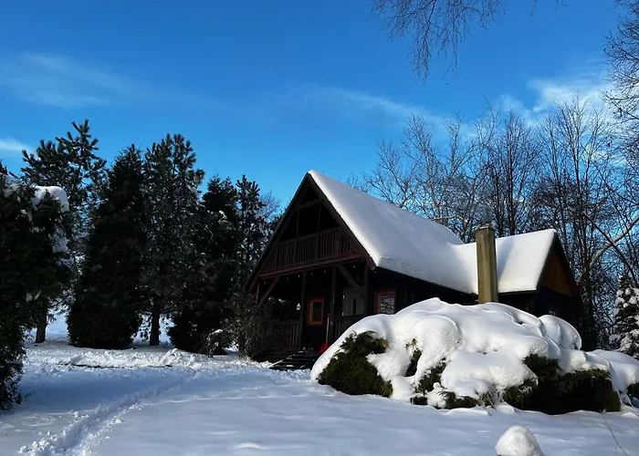 Pod Lasem Chalet Trzciana