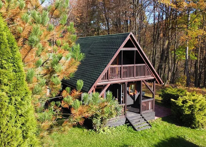 Pod Lasem Chalet Trzciana