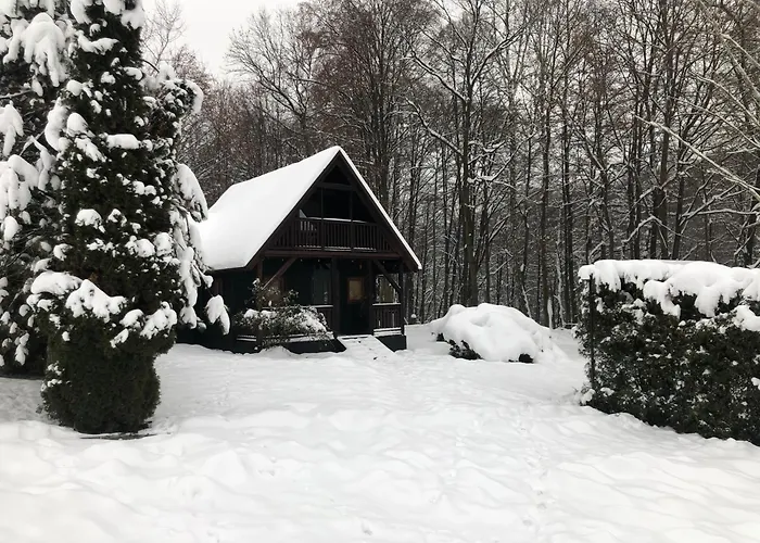 Pod Lasem Chalet Trzciana