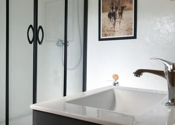 Pod Lasem * Trzciana